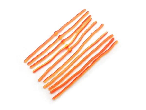 Trout-jum-jum-Rot-Gelb Trout-jum-jum-Rot-Gelb